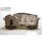 CUADRO RELOJES BLANCO T MAX 500, 2005