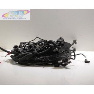 INST. ELEC. BMW F 800 GS, 2010.