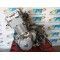 MOTOR ALIGERADO CBF 500 2005