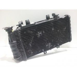 RADIADOR BMW F800-R 2009