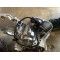 CAJA DE CAMBIOS BMW R 1200 RT 2009