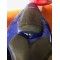 SILLON TRASERO YAMAHA R1 2004-2006